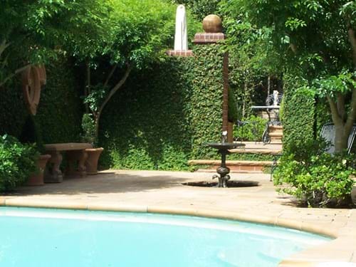 Formal Pool Garden