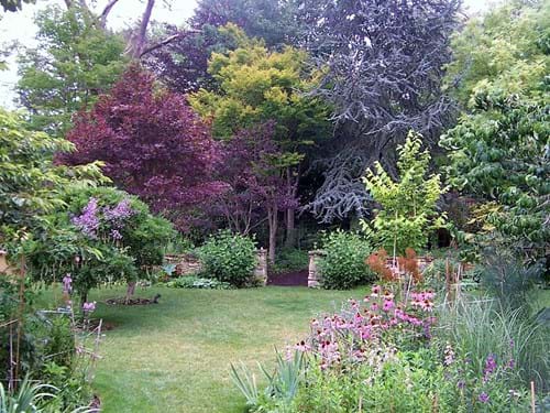 Leura Garden in Summer